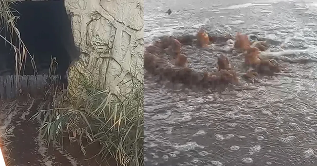 İzmir’e Milyon Liralik Yeni Birek Su Cezasi Daha!