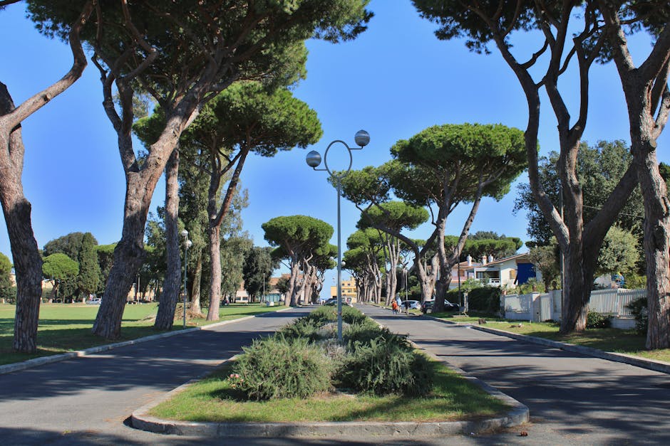 Juventus8217a-Iki-Turk-Takviyesi-Yasin-Cam-ve-Berkay-Yilmaz-Italya-Yolunda-featured