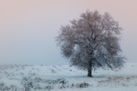Sahilde-Cocuk-Cesedi-Bulundu-Genis-Capli-Sorusturma-Baslatildi-featured