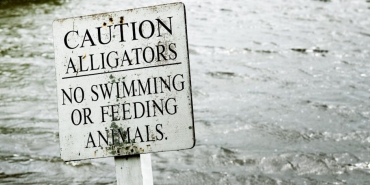 Yilmaz8217dan-Dezenformasyon-Uyarisi-Uyanik-Olmaliyiz-featured